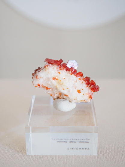 Vanadinit X Baryt Specimen - aus Mibladen Bergbau Bezirk . Midelt. Marokko HIGH QUALITY