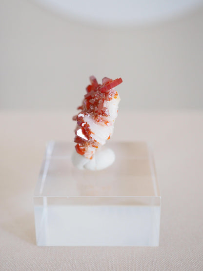 Vanadinit X Baryt Specimen - aus Mibladen Bergbau Bezirk . Midelt. Marokko HIGH QUALITY