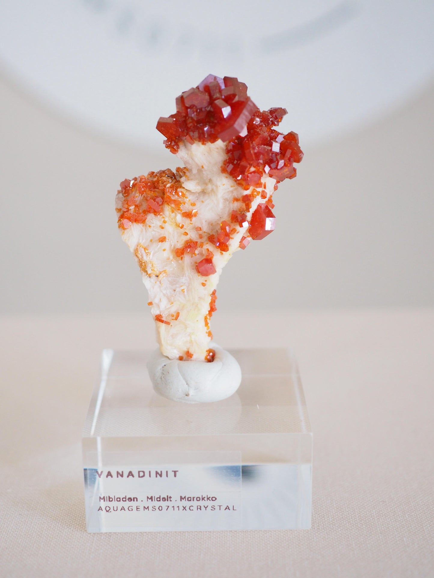 Vanadinit X Baryt Specimen - aus Mibladen Bergbau Bezirk . Midelt. Marokko HIGH QUALITY