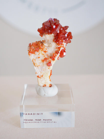 Vanadinit X Baryt Specimen - aus Mibladen Bergbau Bezirk . Midelt. Marokko HIGH QUALITY