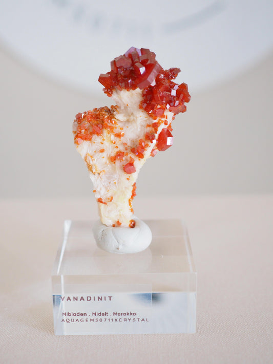 Vanadinit X Baryt Specimen - aus Mibladen Bergbau Bezirk . Midelt. Marokko HIGH QUALITY