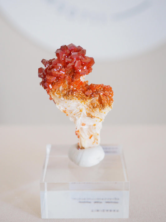 Vanadinit X Baryt Specimen - aus Mibladen Bergbau Bezirk . Midelt. Marokko HIGH QUALITY