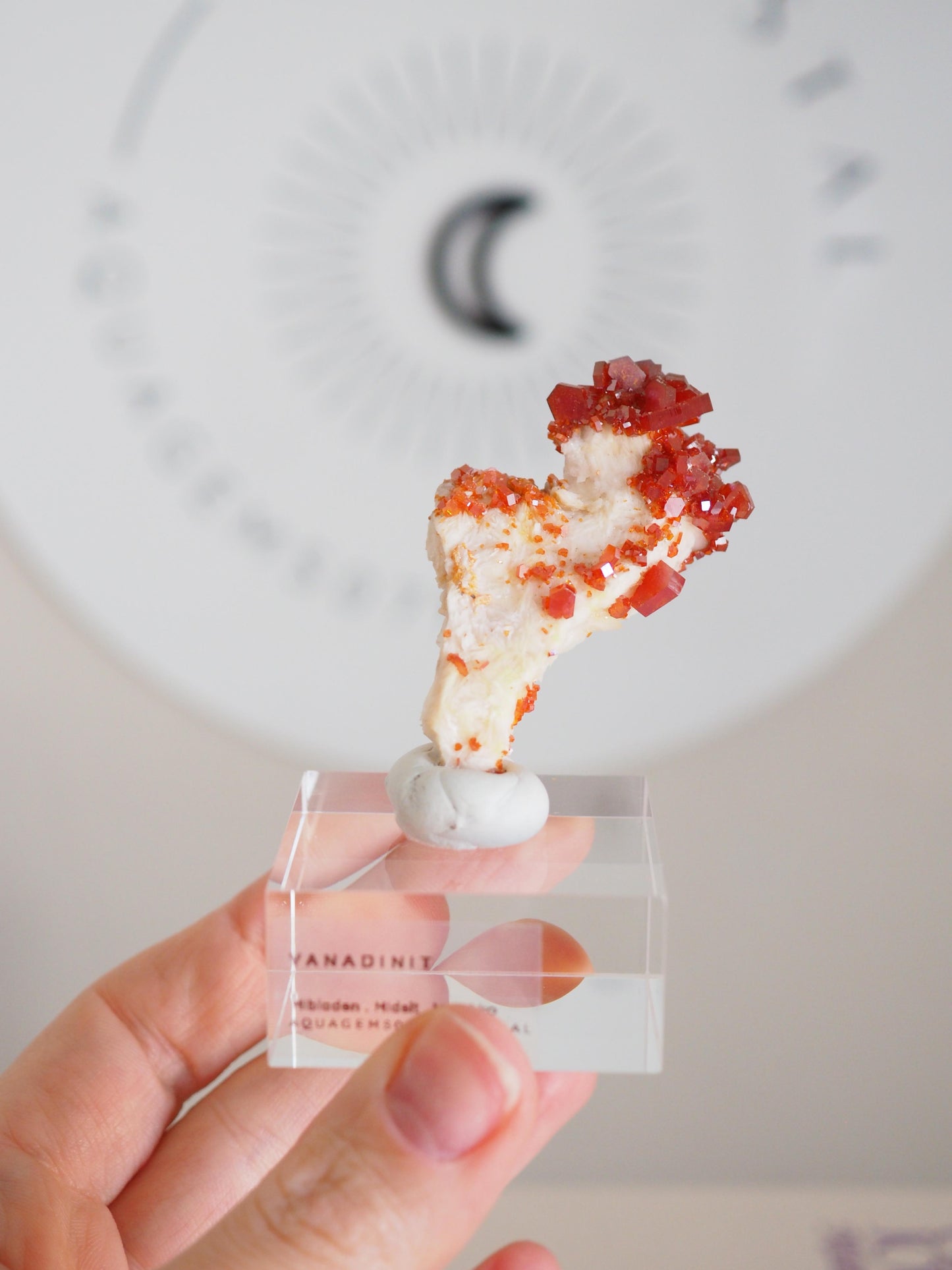 Vanadinit X Baryt Specimen - aus Mibladen Bergbau Bezirk . Midelt. Marokko HIGH QUALITY