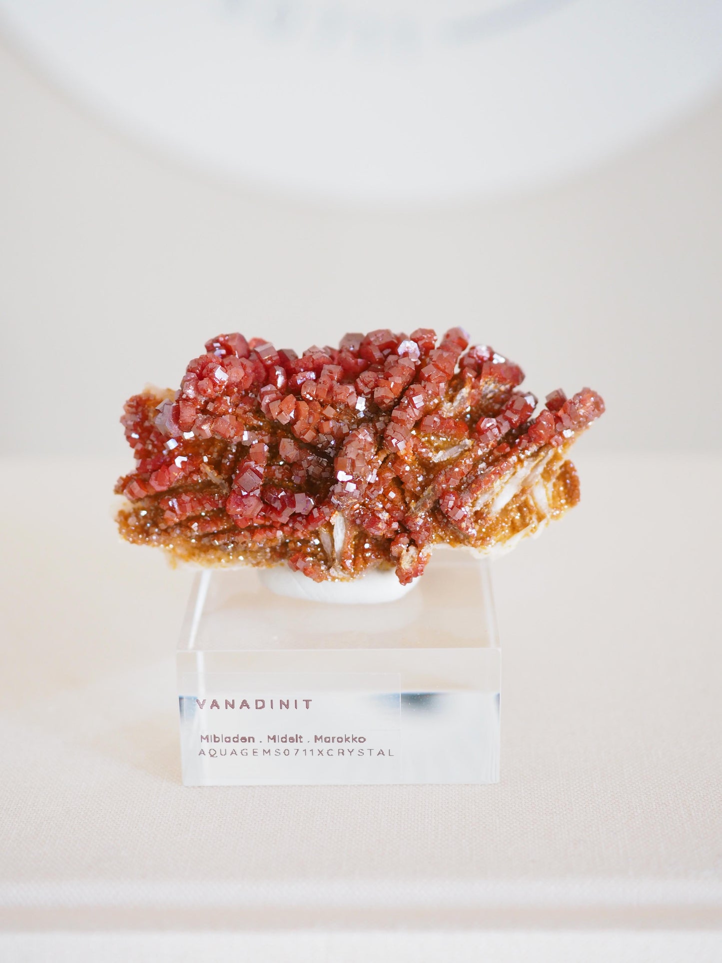 Vanadinit X Baryt Specimen - aus Mibladen Bergbau Bezirk . Midelt. Marokko HIGH QUALITY