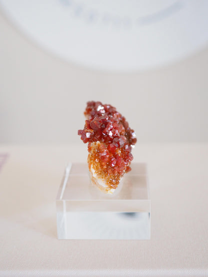 Vanadinit X Baryt Specimen - aus Mibladen Bergbau Bezirk . Midelt. Marokko HIGH QUALITY