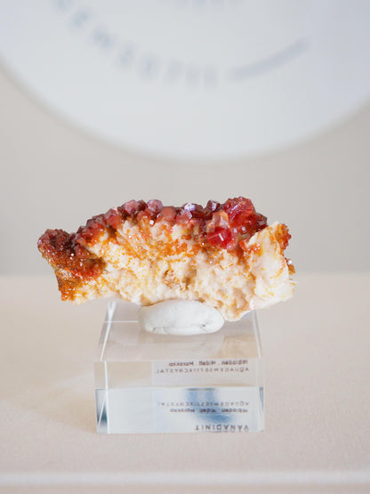 Vanadinit X Baryt Specimen - aus Mibladen Bergbau Bezirk . Midelt. Marokko HIGH QUALITY