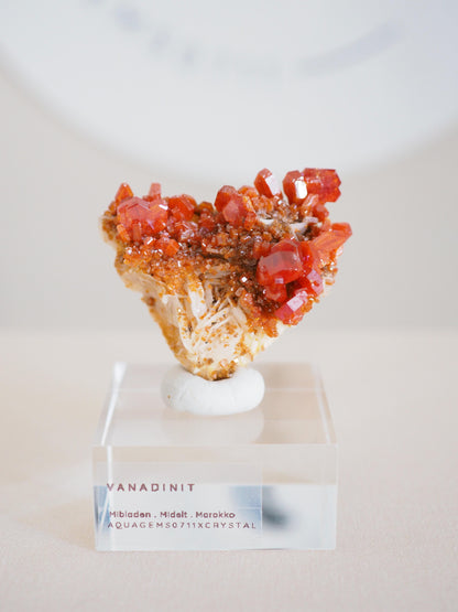 Vanadinit X Baryt Specimen - aus Mibladen Bergbau Bezirk . Midelt. Marokko HIGH QUALITY