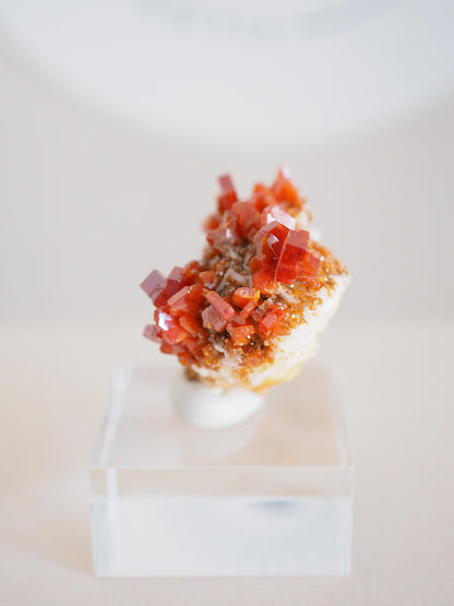 Vanadinit X Baryt Specimen - aus Mibladen Bergbau Bezirk . Midelt. Marokko HIGH QUALITY