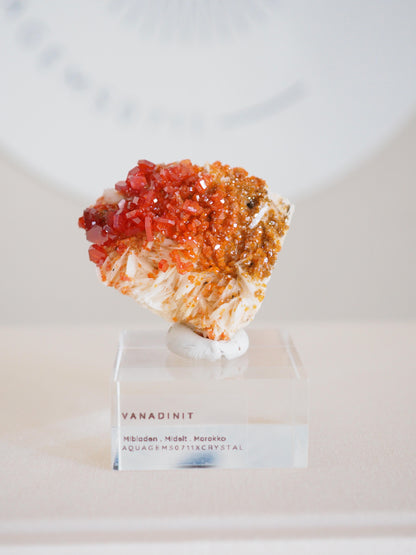 Vanadinit X Baryt Specimen - aus Mibladen Bergbau Bezirk . Midelt. Marokko HIGH QUALITY