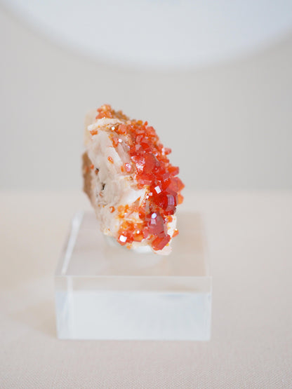 Vanadinit X Baryt Specimen - aus Mibladen Bergbau Bezirk . Midelt. Marokko HIGH QUALITY