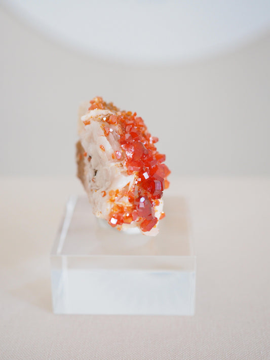 Vanadinit X Baryt Specimen - aus Mibladen Bergbau Bezirk . Midelt. Marokko HIGH QUALITY