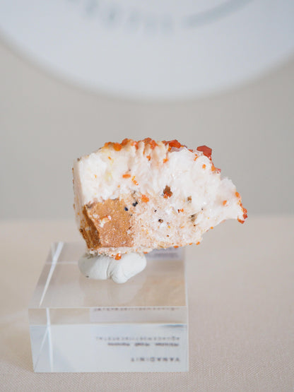 Vanadinit X Baryt Specimen - aus Mibladen Bergbau Bezirk . Midelt. Marokko HIGH QUALITY