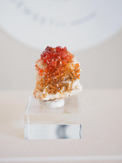 Vanadinit X Baryt Specimen - aus Mibladen Bergbau Bezirk . Midelt. Marokko HIGH QUALITY