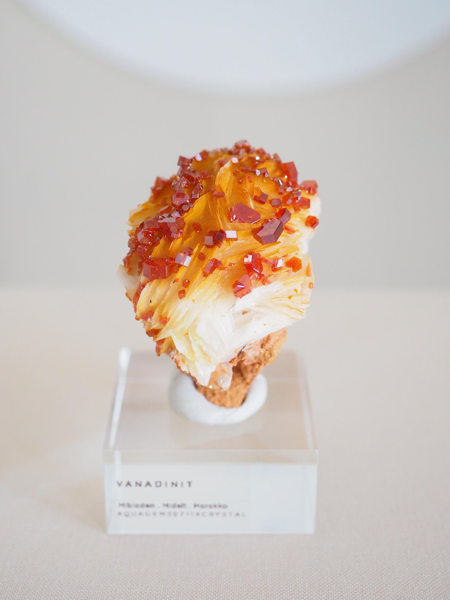 Vanadinit X Baryt Specimen - aus Mibladen Bergbau Bezirk . Midelt. Marokko HIGH QUALITY