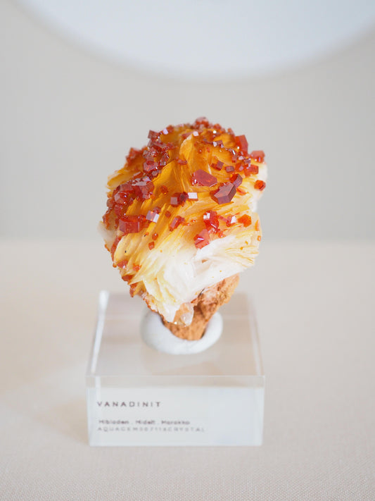 Vanadinit X Baryt Specimen - aus Mibladen Bergbau Bezirk . Midelt. Marokko HIGH QUALITY