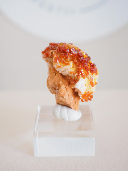 Vanadinit X Baryt Specimen - aus Mibladen Bergbau Bezirk . Midelt. Marokko HIGH QUALITY