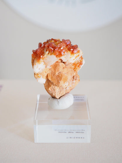 Vanadinit X Baryt Specimen - aus Mibladen Bergbau Bezirk . Midelt. Marokko HIGH QUALITY