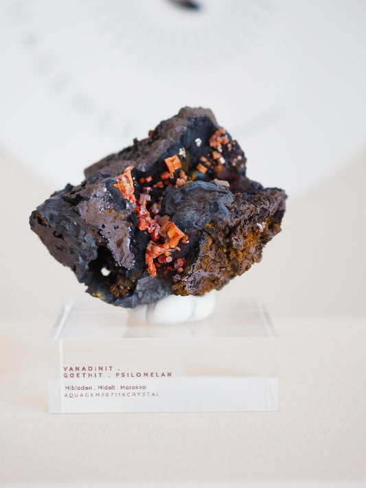 Vanadinit X Psilomelane X Goethite- aus Mibladen Bergbau Bezirk . Midelt. Marokko
