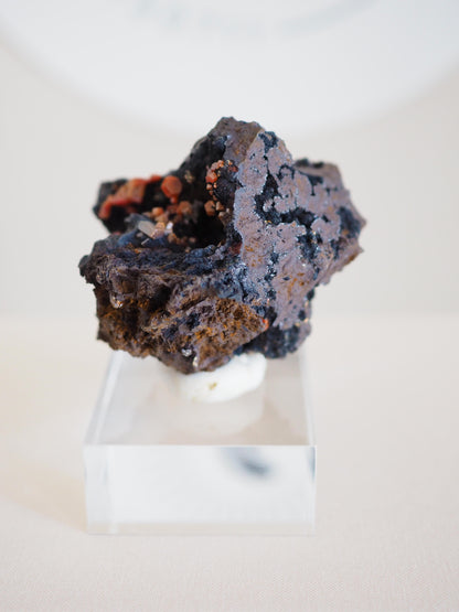 Vanadinit X Psilomelane X Goethite- aus Mibladen Bergbau Bezirk . Midelt. Marokko