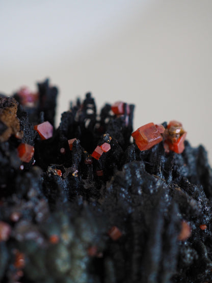 Vanadinit X Psilomelane X Goethite- aus Mibladen Bergbau Bezirk . Midelt. Marokko