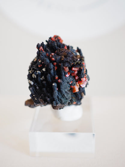 Vanadinit X Psilomelane X Goethite- aus Mibladen Bergbau Bezirk . Midelt. Marokko