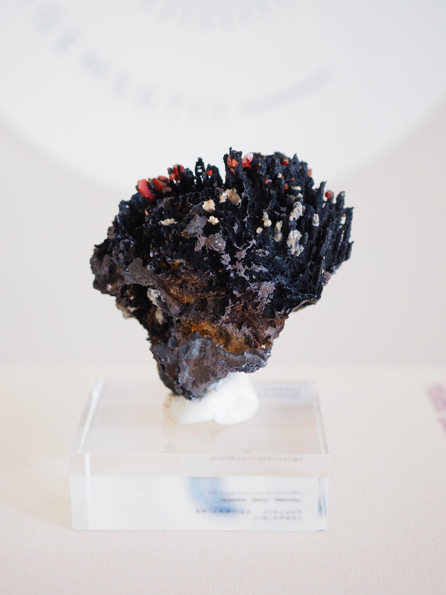 Vanadinit X Psilomelane X Goethite- aus Mibladen Bergbau Bezirk . Midelt. Marokko