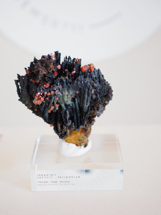 Vanadinit X Psilomelane X Goethite- aus Mibladen Bergbau Bezirk . Midelt. Marokko