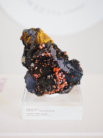 Vanadinit X Psilomelane X Goethite- aus Mibladen Bergbau Bezirk . Midelt. Marokko
