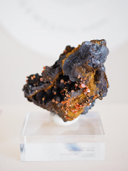 Vanadinit X Psilomelane X Goethite- aus Mibladen Bergbau Bezirk . Midelt. Marokko