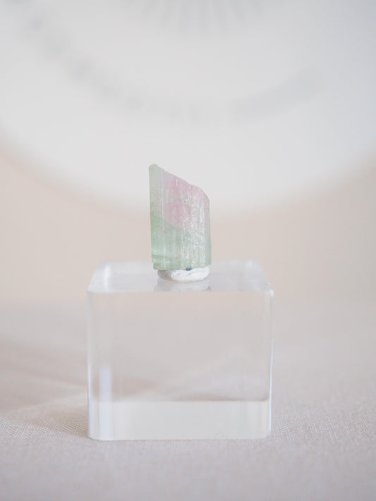 Wassermelonen Turmalin  - aus Pakistan