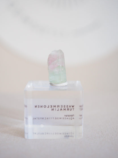 Wassermelonen Turmalin  - aus Pakistan