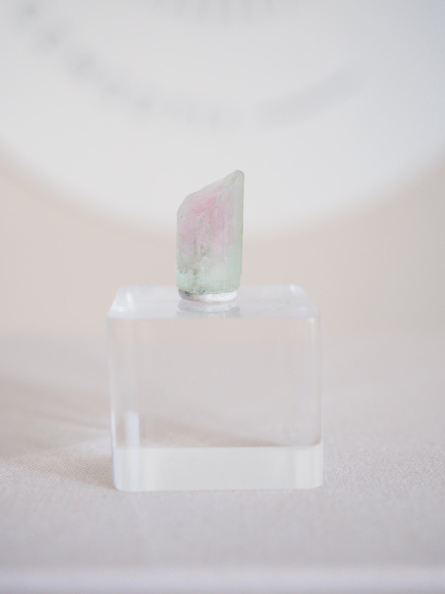 Wassermelonen Turmalin  - aus Pakistan