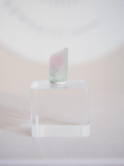 Wassermelonen Turmalin  - aus Pakistan