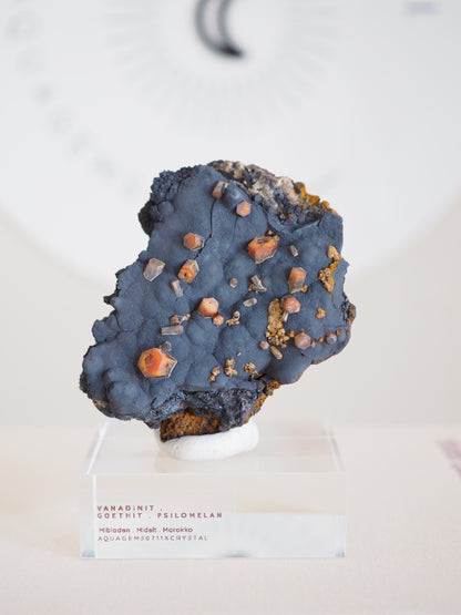 Vanadinit X Psilomelane X Goethite- aus Mibladen Bergbau Bezirk . Midelt. Marokko