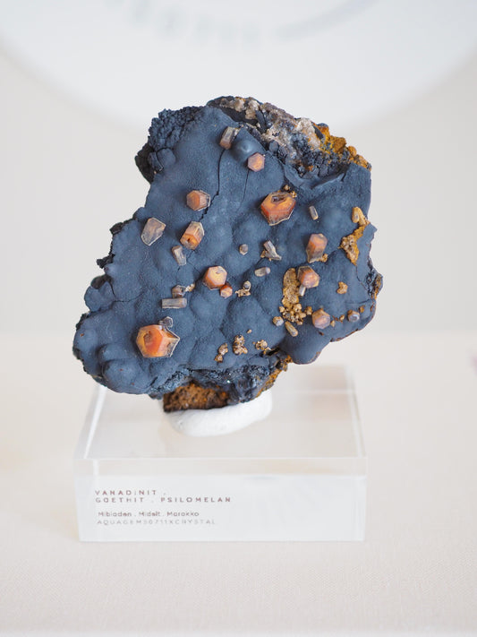 Vanadinit X Psilomelane X Goethite- aus Mibladen Bergbau Bezirk . Midelt. Marokko