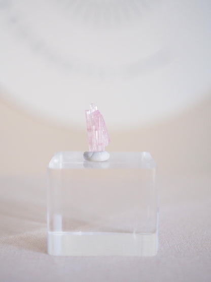 Pinker Turmalin  - aus Paprok Afghanistan