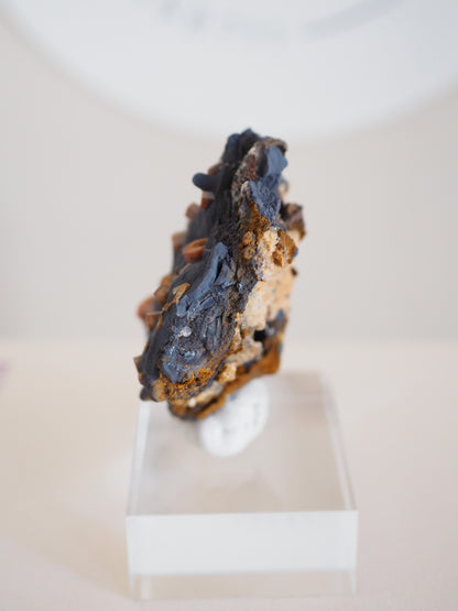 Vanadinit X Psilomelane X Goethite- aus Mibladen Bergbau Bezirk . Midelt. Marokko