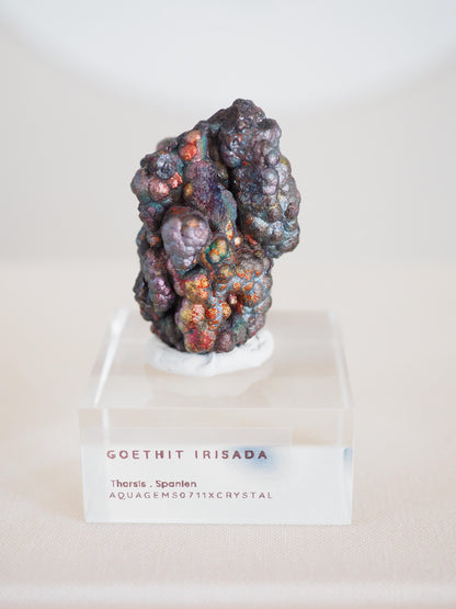 Bunt Irisierender Goethit . Iridescent Goetite Specimen [ 2 ] ca. 4 cm - aus Tharsis . Spanien