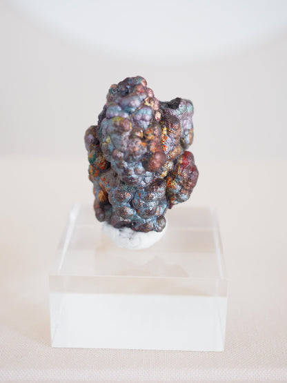 Bunt Irisierender Goethit . Iridescent Goetite Specimen [ 2 ] ca. 4 cm - aus Tharsis . Spanien