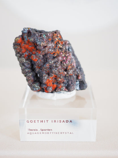 Bunt Irisierender Goethit . Iridescent Goetite Specimen [ 3 ] ca. 4 cm - aus Tharsis . Spanien