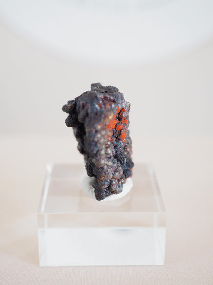 Bunt Irisierender Goethit . Iridescent Goetite Specimen [ 3 ] ca. 4 cm - aus Tharsis . Spanien