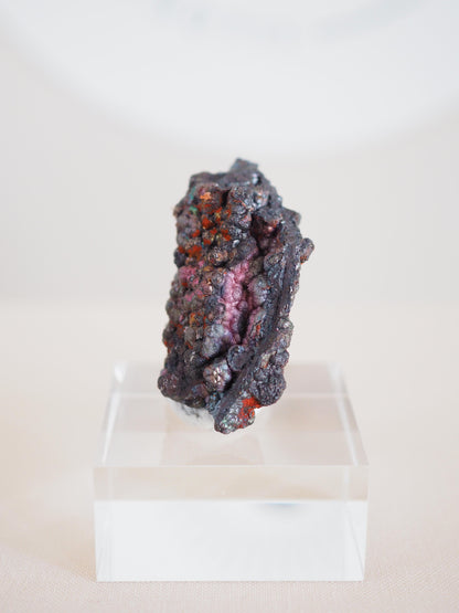 Bunt Irisierender Goethit . Iridescent Goetite Specimen [ 3 ] ca. 4 cm - aus Tharsis . Spanien