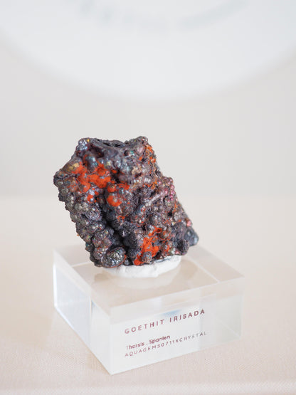 Bunt Irisierender Goethit . Iridescent Goetite Specimen [ 3 ] ca. 4 cm - aus Tharsis . Spanien