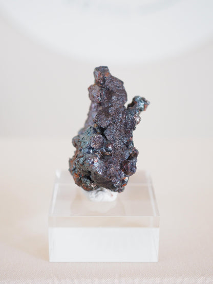 Bunt Irisierender Goethit .  Iridescent Goetite Specimen [ 4 ] ca. 4.5 cm - aus Tharsis . Spanien