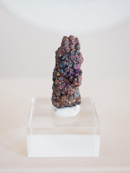 Bunt Irisierender Goethit . Iridescent Goetite Specimen [ 5 ] ca. 5 cm - aus Tharsis . Spanien