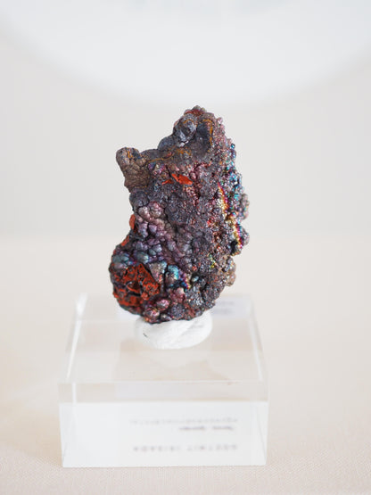 Bunt Irisierender Goethit . Iridescent Goetite Specimen [ 5 ] ca. 5 cm - aus Tharsis . Spanien