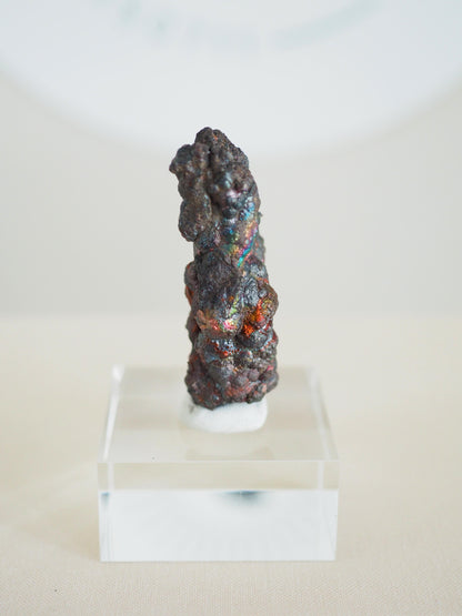 Bunt Irisierender Goethit .Iridescent Goetite Specimen [ 6 ] ca. 5.5 cm - aus Tharsis . Spanien