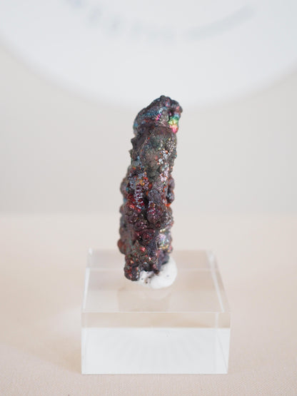 Bunt Irisierender Goethit .Iridescent Goetite Specimen [ 6 ] ca. 5.5 cm - aus Tharsis . Spanien