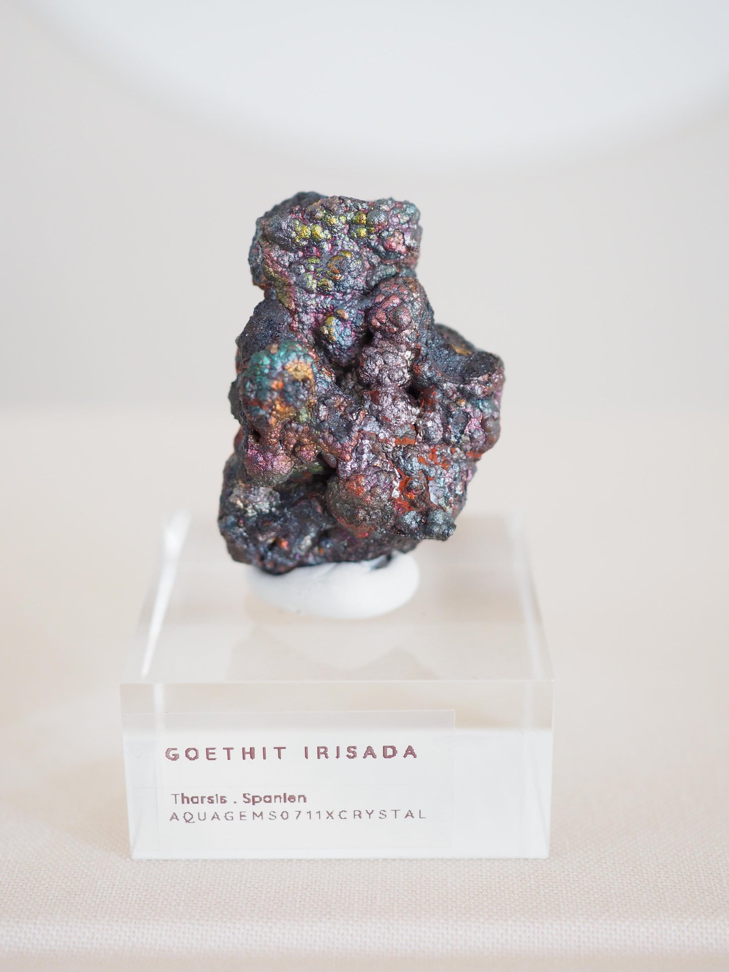 Bunt Irisierender Goethit . Iridescent Goetite Specimen [ 7 ] ca. 4 cm - aus Tharsis . Spanien