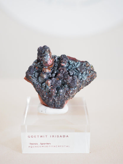 Bunt Irisierender Goethit . Iridescent Goetite Specimen [ 9 ] ca. 3.5 cm - aus Tharsis . Spanien